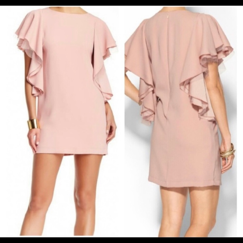 BCBG pink Solace ruffle sleeve dress sz 0